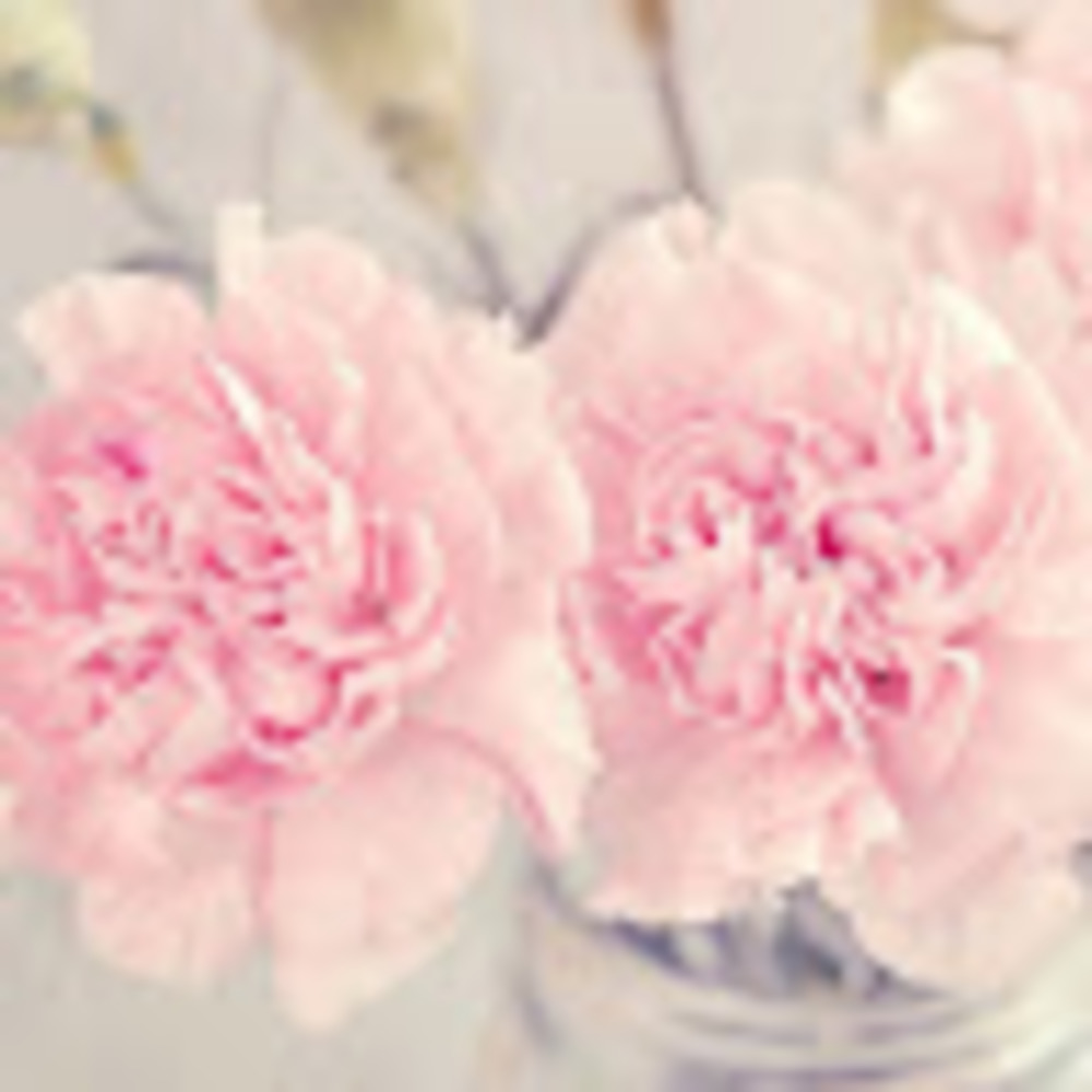 Meet your Posher, Chana